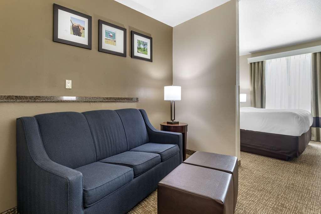 Comfort - Dallas North Hotel Plano