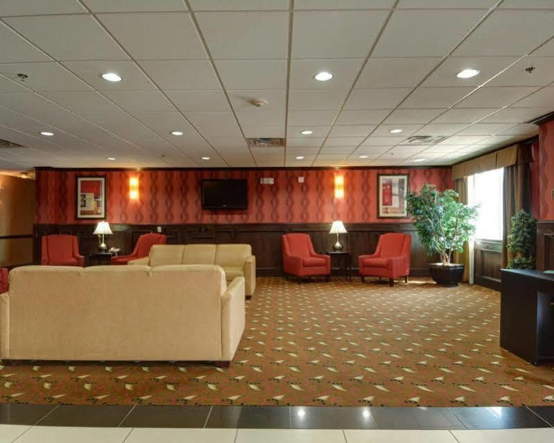 Comfort - Dallas North Hotel 2*