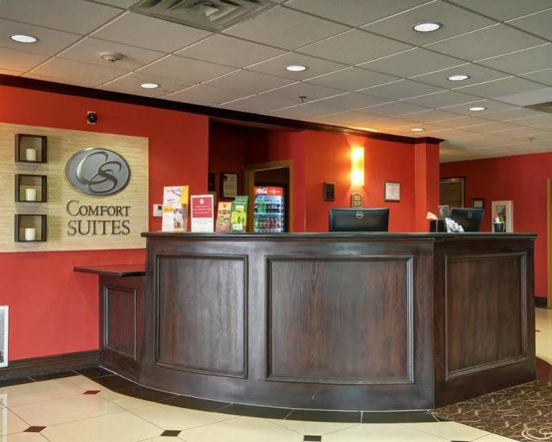 Hotel Comfort - Dallas North