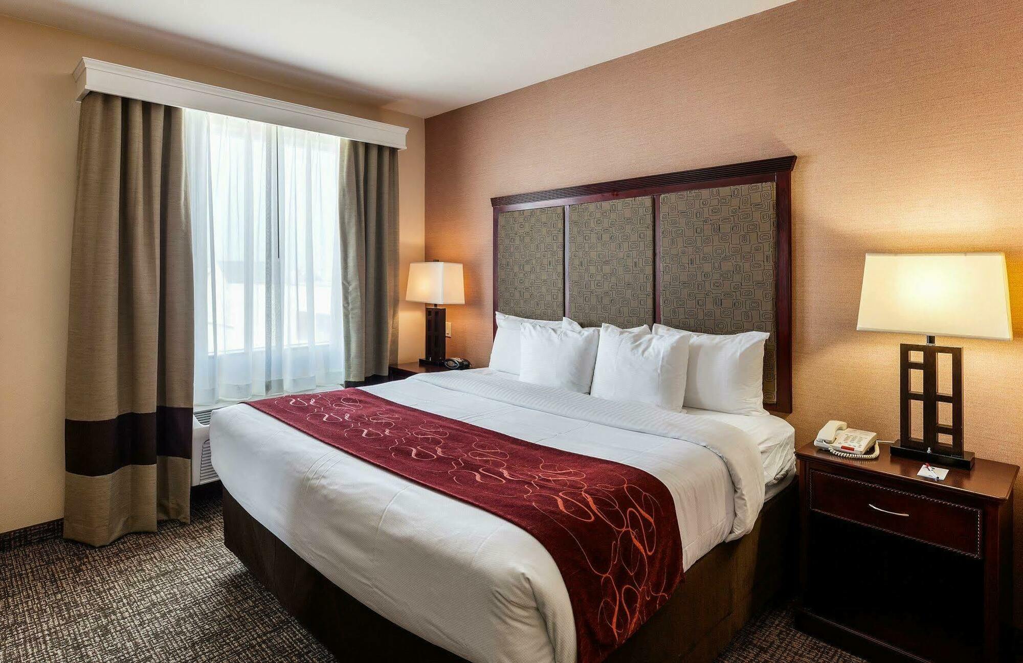 Comfort - Dallas North Hotel Plano